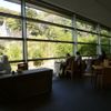 行くしかない♪愛媛県のオシャレ＆景色がいいカフェ7選