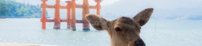 女子ののんびり一人旅in広島。旅のおともにしたいおすすめホテル7選