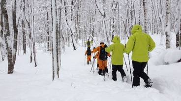 スノーシュー / 3