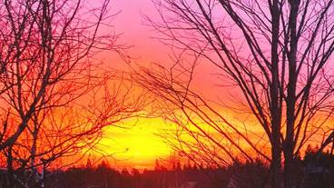 施設の敷地 / 34