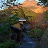 由布院 梅園 GARDEN RESORT（大分県 旅館） / 2