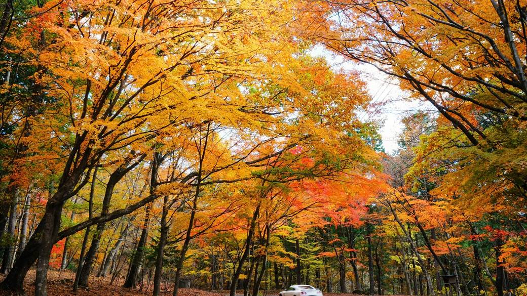 日塩もみじライン / 2