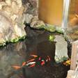 オリエントホテル高知 和風別館 吉萬