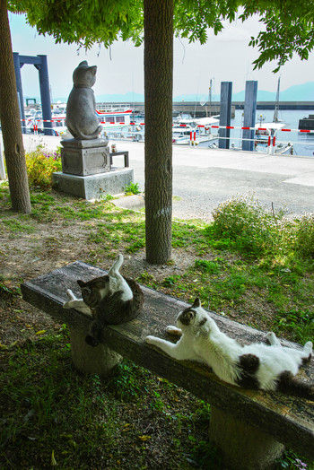 湯島 猫像