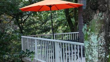 テラス / パティオ / 9