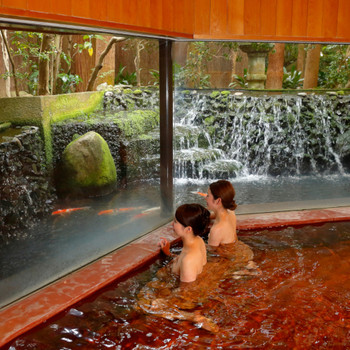 池の中にいるようなユニークなお風呂が面白い4088714