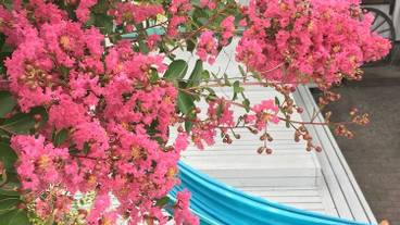 テラス / パティオ / 18