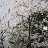 ニューオータニイン東京(東京都 ビジネスホテル) / 4