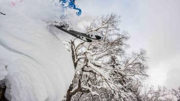 スノー スポーツとスキー / 8