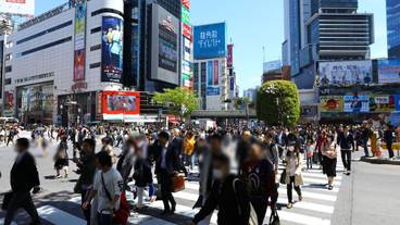 観光スポット / 7