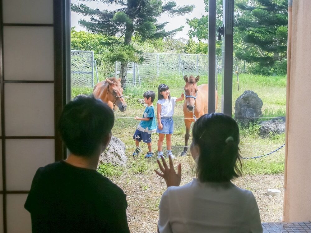 乗馬