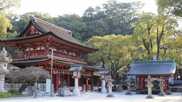 観光スポット / 15