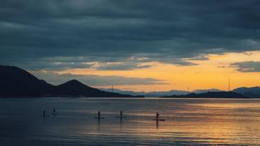 サーフィン / ボディボード / 8