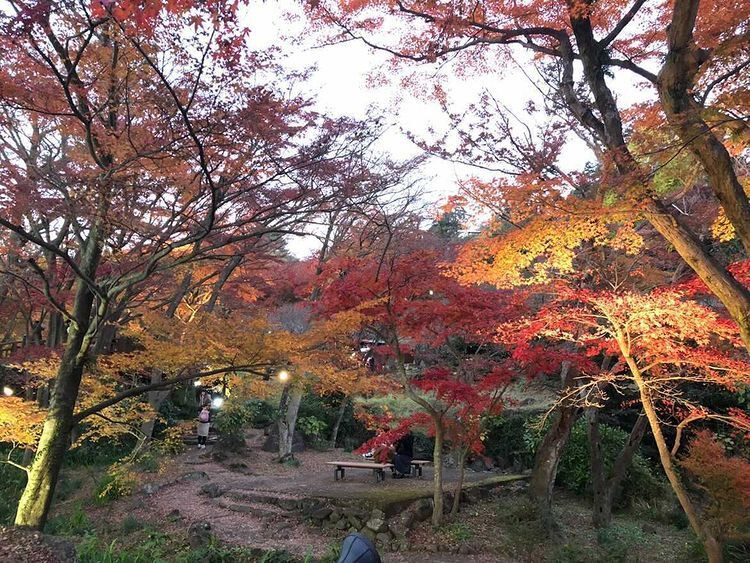 momo_st2さんの写真 / 3