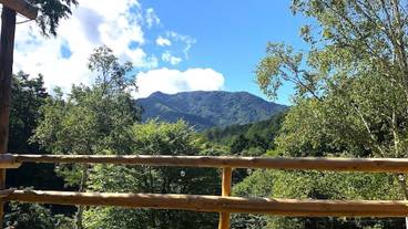 テラス / パティオ / 15