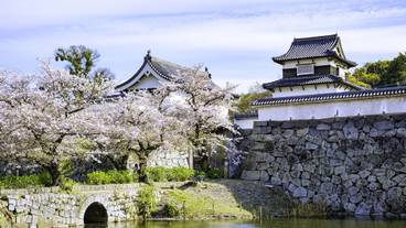 観光スポット　舞鶴公園 / 2