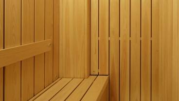 テラス付和洋室 湖側一例/サウナ / 23