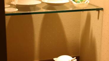 客室の設備とサービス / 16