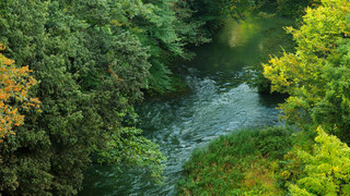 和室【花】リバービュー・ユニットバスorアウトバス 禁煙