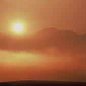 ホテル サンフラトン(北海道 ビジネスホテル) / 5