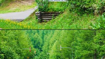 施設の入り口 / 13