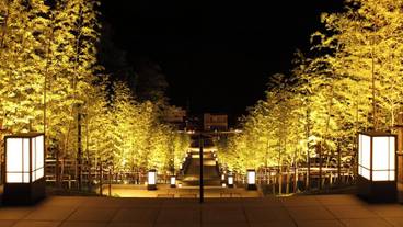 シティ ビュー / 20