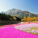 休日は1泊2日で小旅行へ出かけよう♪東京から好アクセスのおすすめ旅先15選