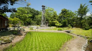 施設の敷地 / 29