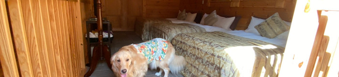 【河口湖・山中湖】ペットと泊まれるホテル5選♪愛犬連れでステイ