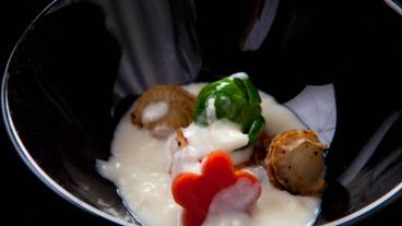 食事・飲み物 / 20