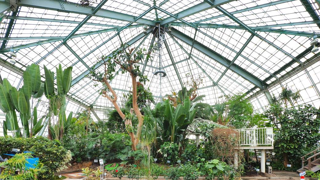 函館市熱帯植物園 温室 / 3