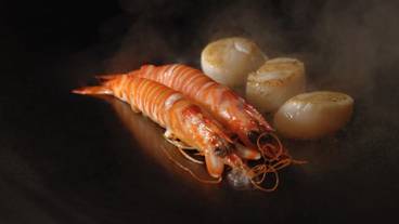 食事・飲み物 / 10