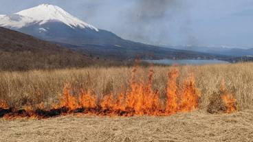 ランド ビュー / 28