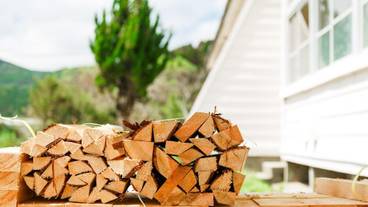 施設の敷地 / 13