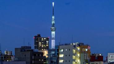 シティ ビュー / 5