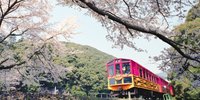 春は京都・嵐山の桜と春スイーツを楽しもう