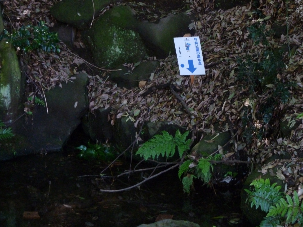 湧き水の傍に行ってみよう！887816