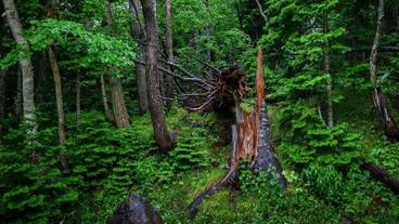 施設からの眺望 / 5