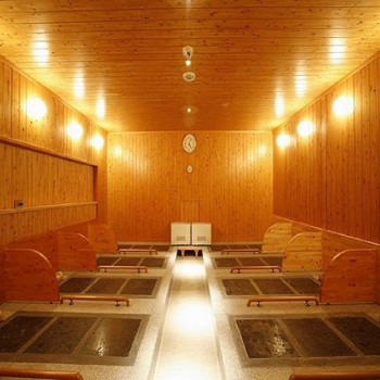 岩盤浴と日本庭園で癒しの時間が楽しめるホテル♪3567392