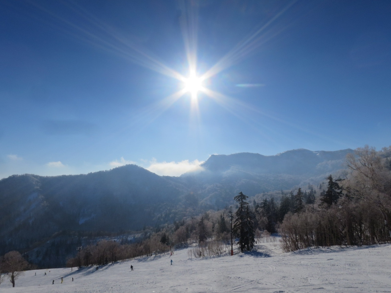 札幌国際スキー場のアフタースキーにいかが?969026