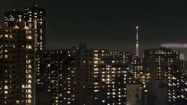 客室 / 6
