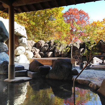 奥軽井沢温泉　ホテルグリーンプラザ軽井沢3669229