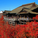 京都「清水寺」の紅葉！おすすめの楽しみ方・見頃・ライトアップも♪