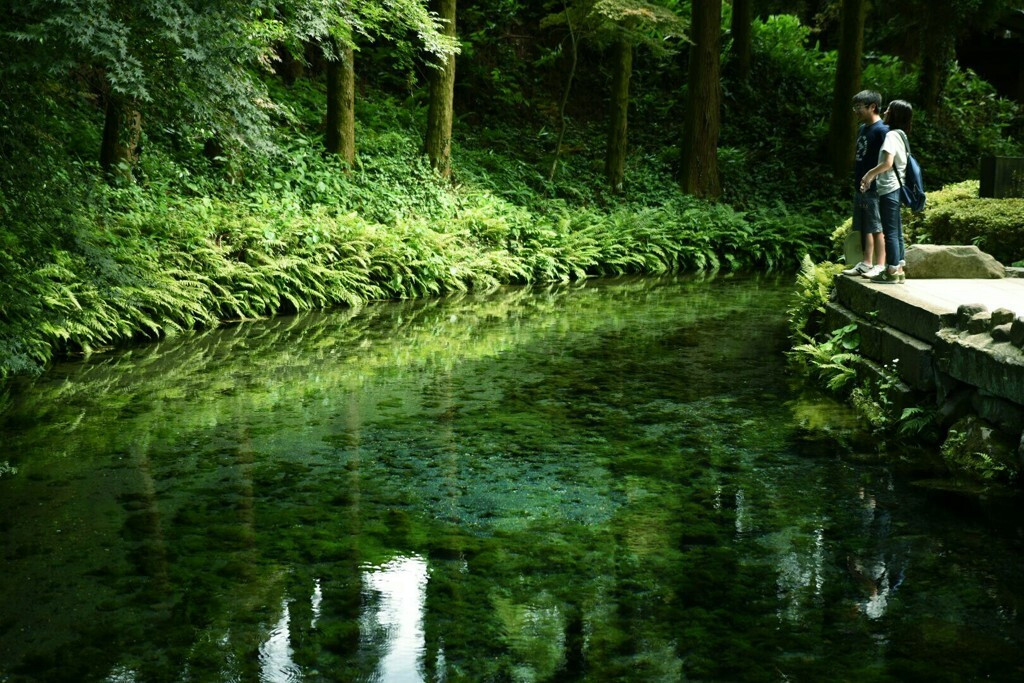 絶景スポット点在の阿蘇エリア3437063