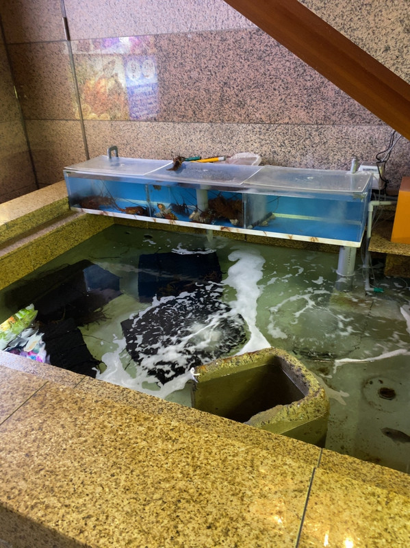 エントランスの伊勢海老