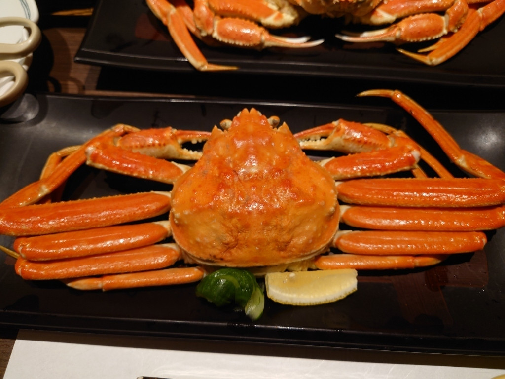 「瑠璃光」 料理 222163827 