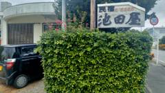 民宿 池田屋（西表島）