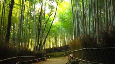 観光スポット / 11