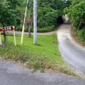 いるもて荘 ＜西表島＞（沖縄県 ゲストハウス・ホステル・ドミトリー） / 2