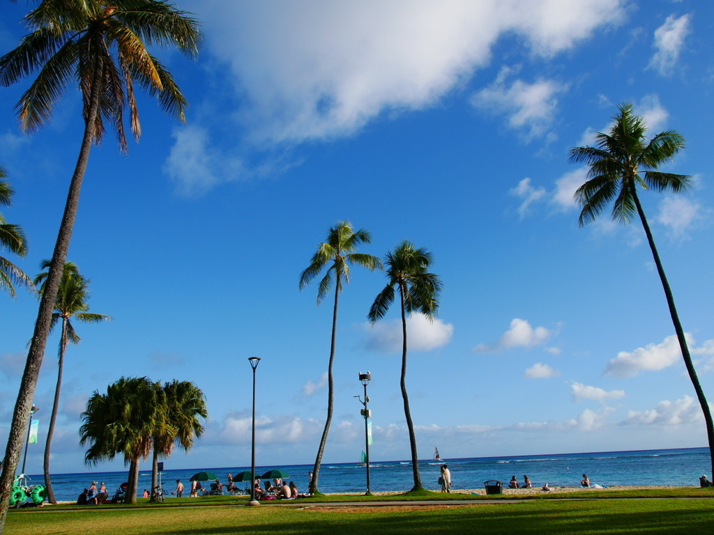 魅惑の楽園ハワイに行きたい！2996426